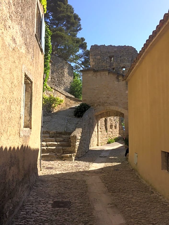 Rose – Bonnieux, UT