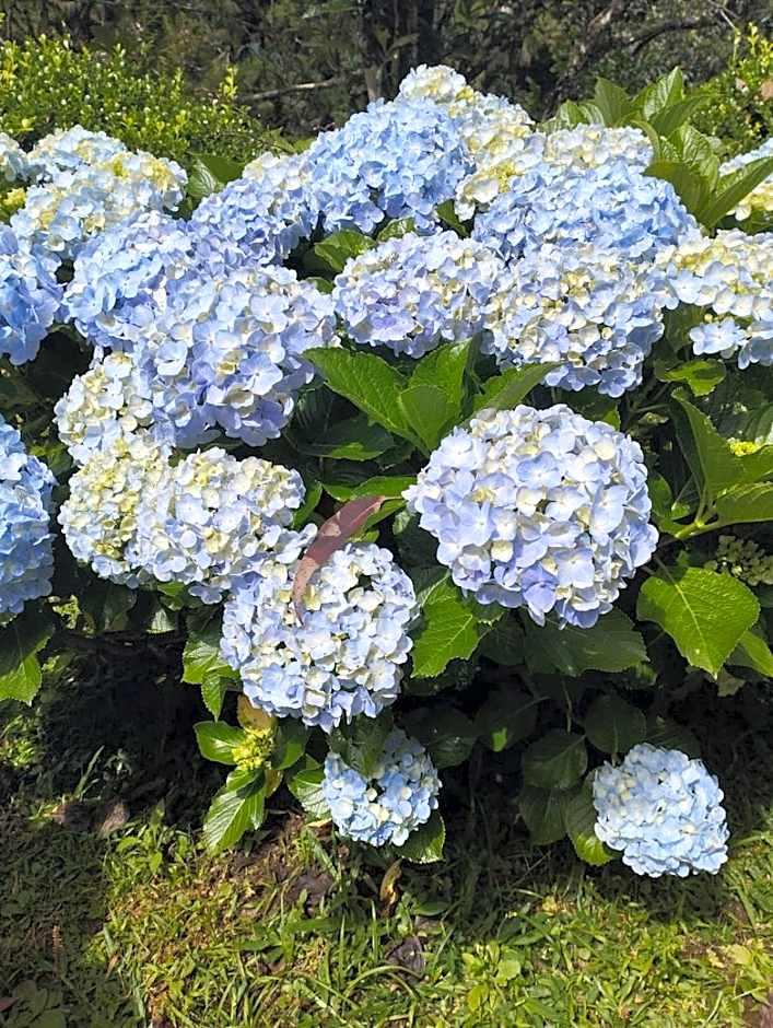 Linda casa em Mury,com riacho e lareira