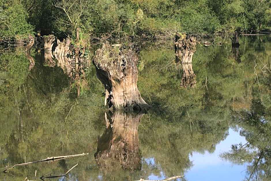 Hotel Landgasthof Ratz