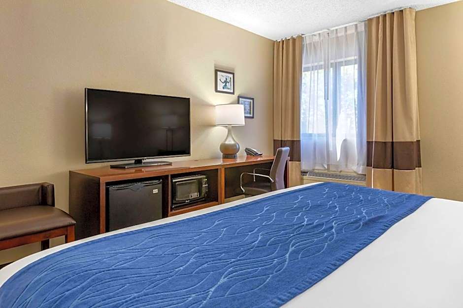 Comfort Inn Near Greenfield Village