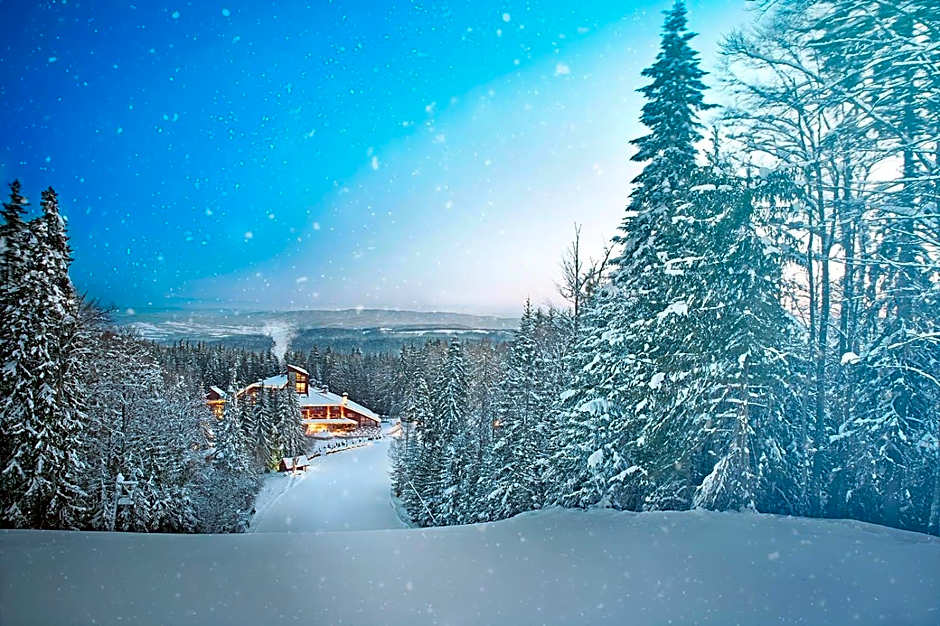 Hotel Yastrebets Wellness & Spa