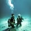 Distant Relatives Ecolodge & Backpackers