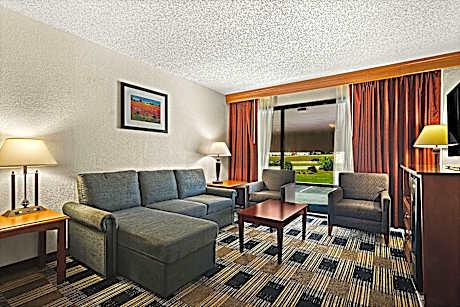 Suite-1 King Bed NSMK Sofabed Wet Bar Microwave Fridge Wi-Fi Shower Only Continental Breakfast