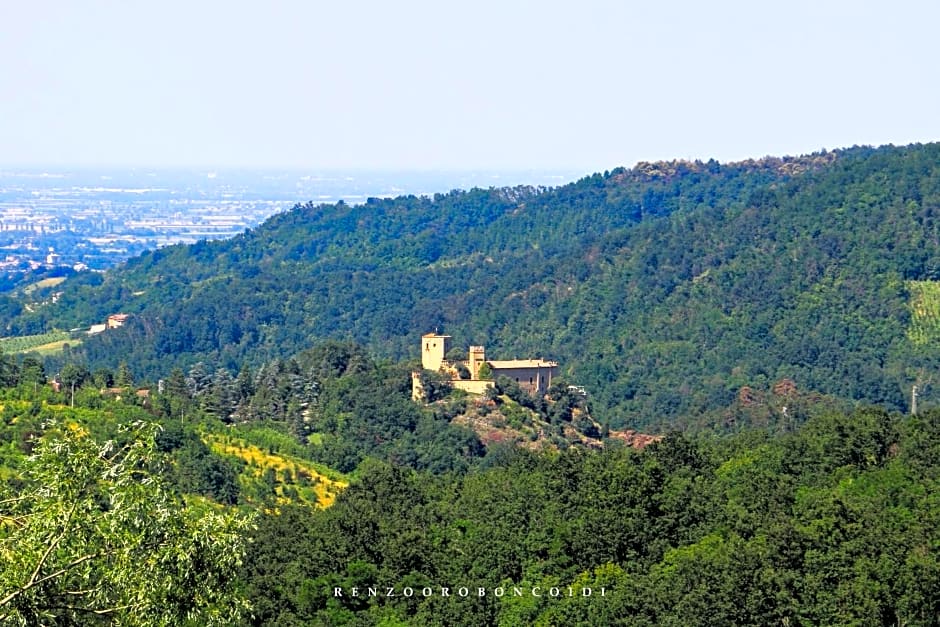 Torre del Barbagianni - Castello di Gropparello