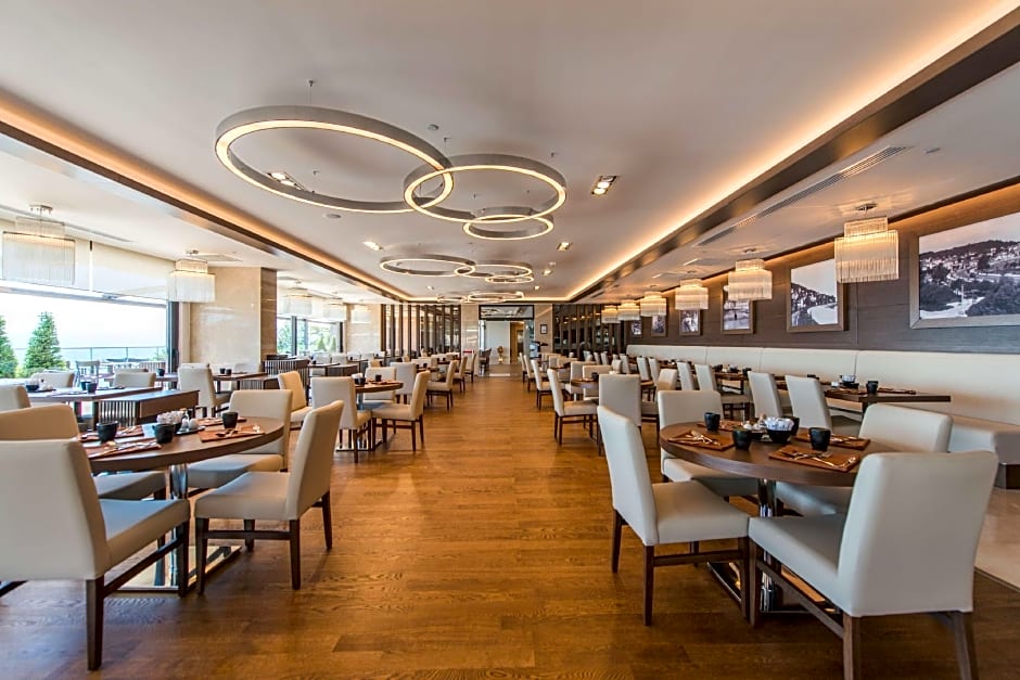 Radisson Blu Hotel, Ordu