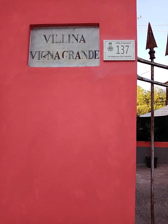 B&B Vigna Grande