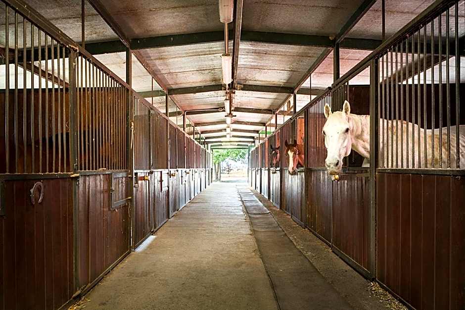 SCUDERIA LA COLOMBERA