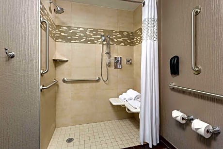 King Room with Roll-In Shower - Mobility and Hearing Access/Non-Smoking