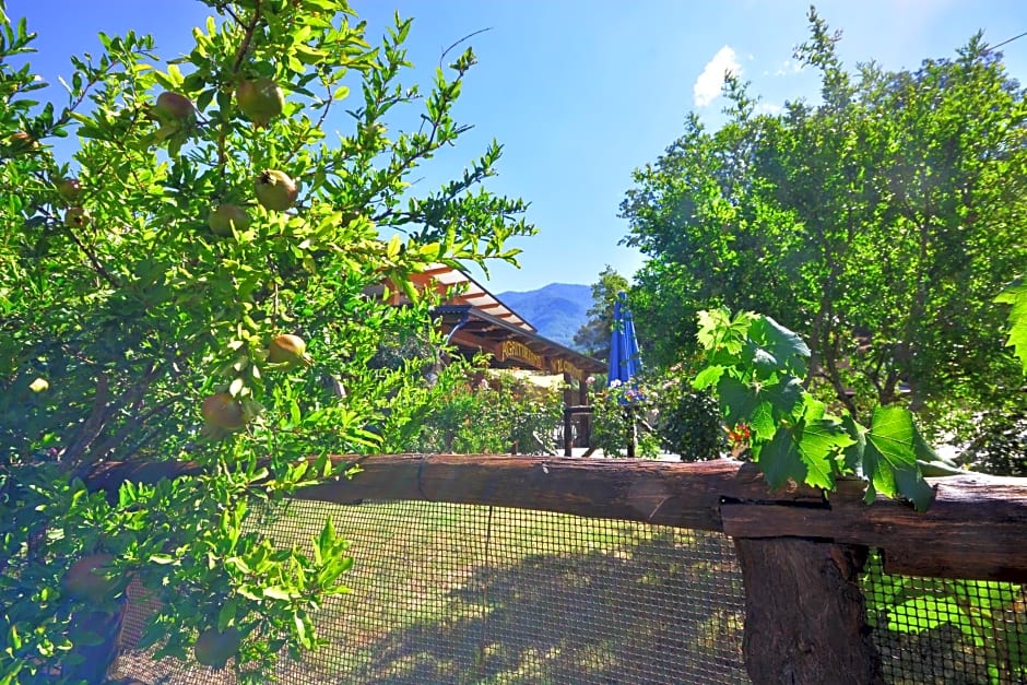 Affittacamere Convivio