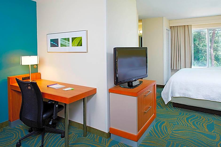 SpringHill Suites by Marriott Atlanta Six Flags