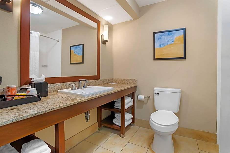 Comfort Suites Gastonia - Charlotte