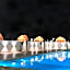 Found Mansion Langkawi