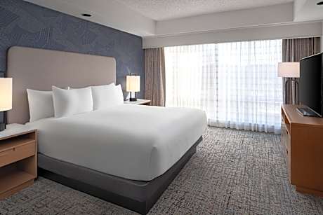 2 Room Presidential Suite- 1 King Nonsmoking