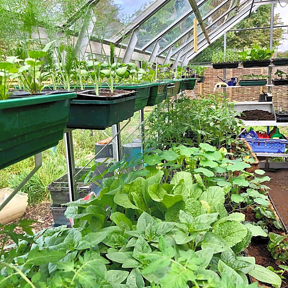 Sibton White Horse Inn