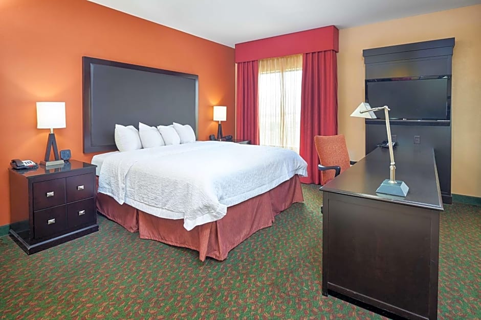 Hampton Inn By Hilton And Suites Waco-South