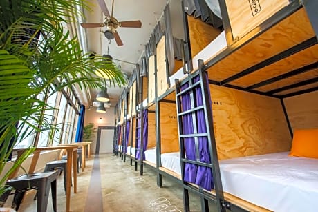 Bunk Bed in Female Dormitory Room