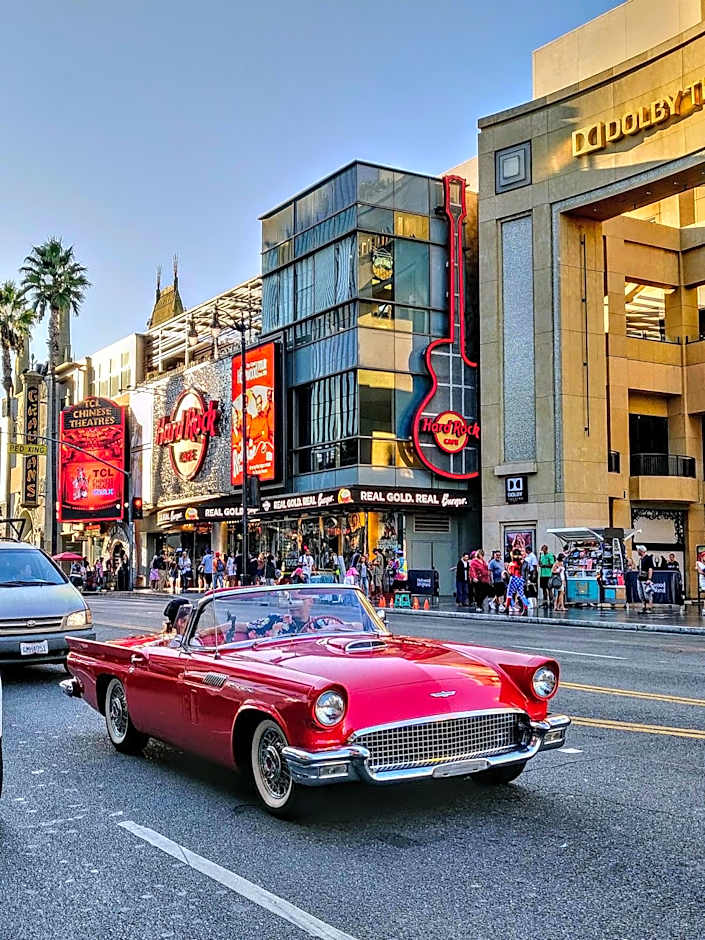 Montrose at Beverly Hills