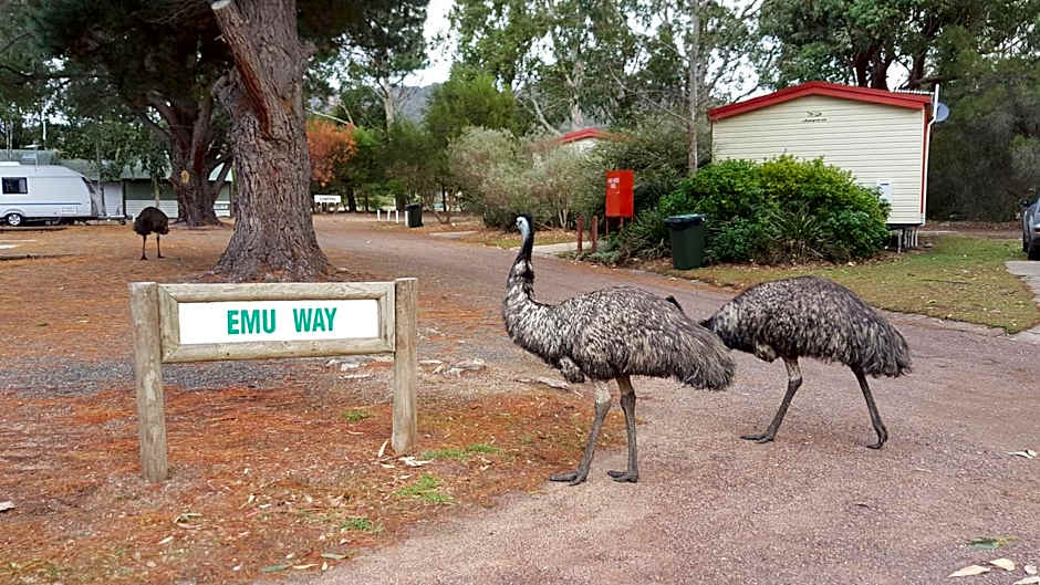 Breeze Holiday Parks - Grampians