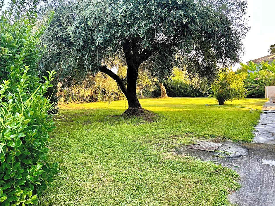 IONIAN SUITES by Bruskos