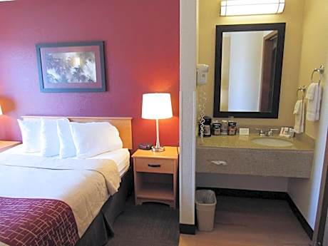 Deluxe Queen Room Disability Access Roll-In Shower Non-Smoking