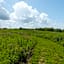 Lied Lodge at Arbor Day Farm