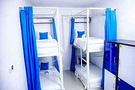 Bunk Bed in a Mixed Dormitory