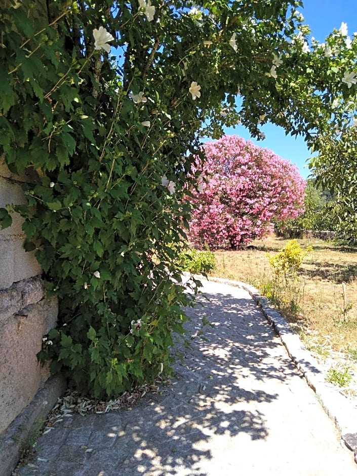 Casa do Forno, Viseu