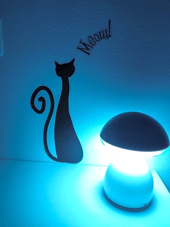 La staccionata bianca