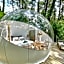 Les Bulles De Bordeaux