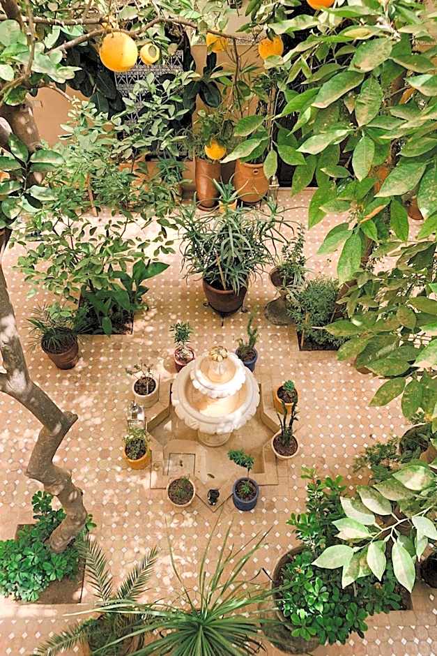 Riad Maison 24