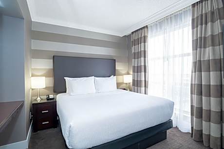 Standard Suite, 1 King Bed, Sofa Bed