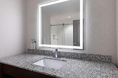 Standard King Room with Mobility Accessible Roll-In Shower