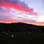 Somersal Bed & Breakfast