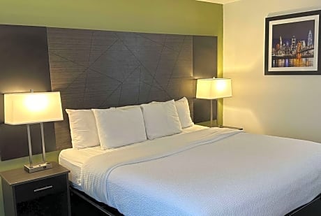King Room with One King Bed and Walk-In Shower - Mobility Accessible/Non-Smoking