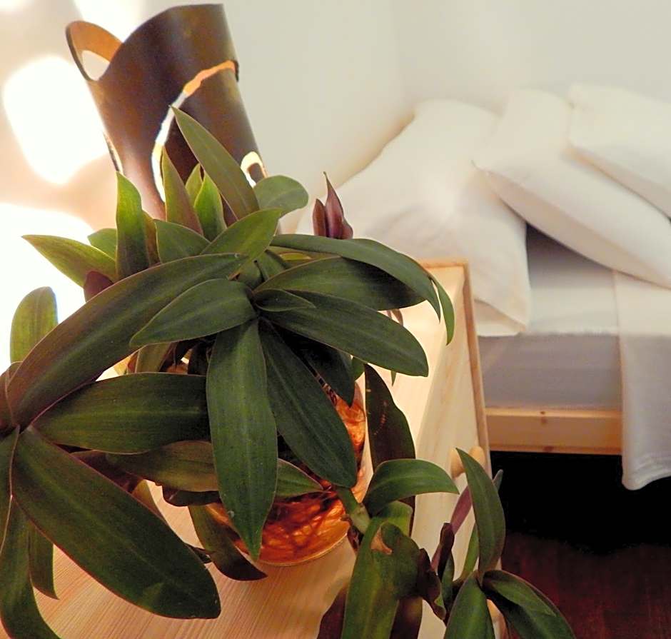 Twenty Seven Degrees Las Palmas