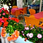 Hotel Park Calitto