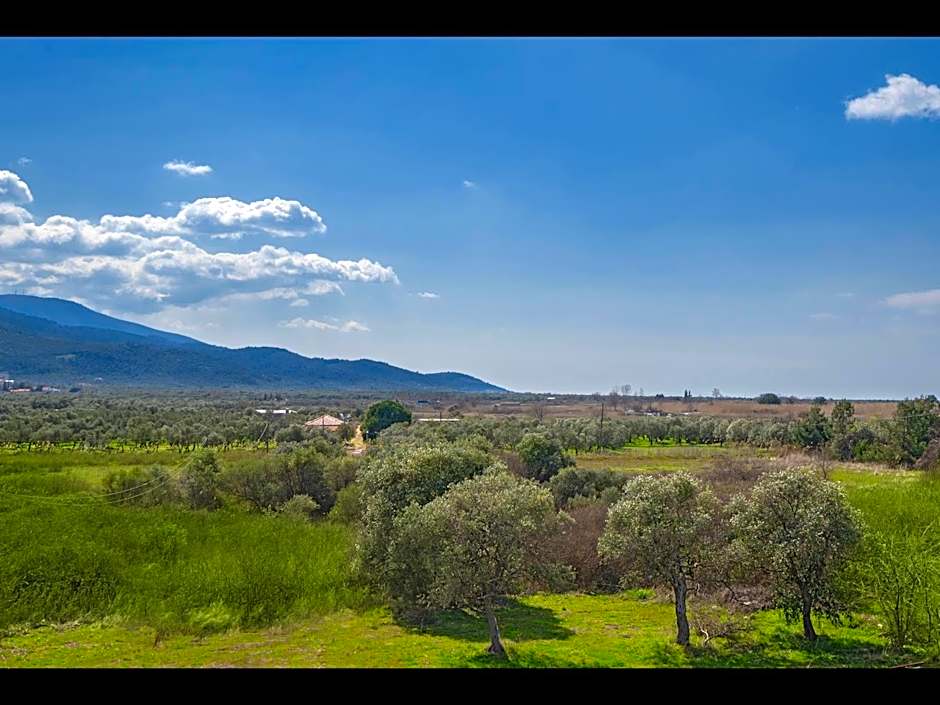 Thassian Riviera Hotel