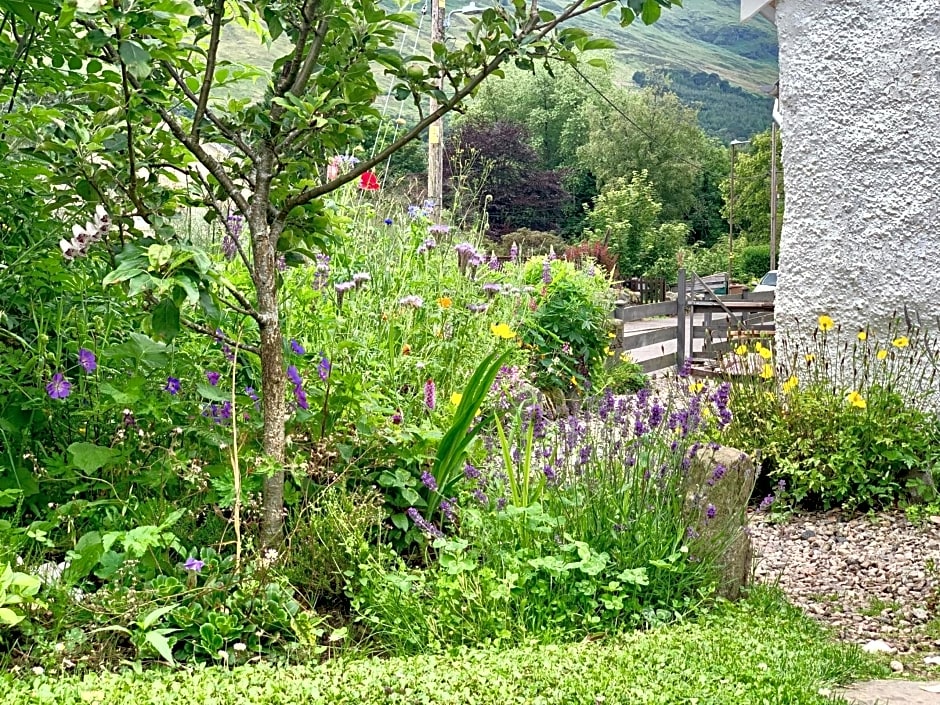 The Croft where Architecture Meets Serenity