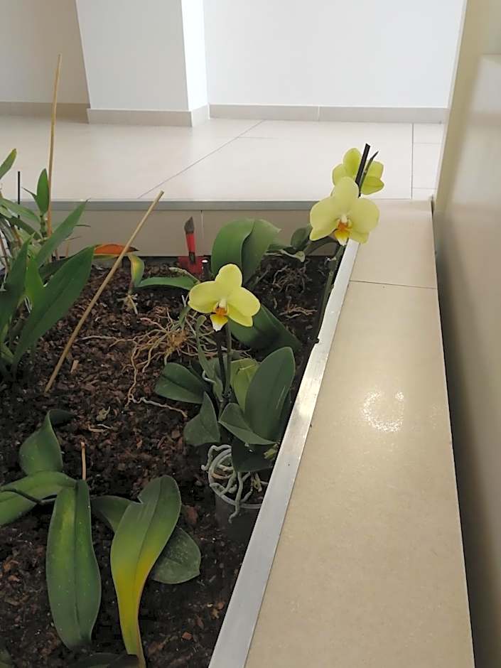 Hôtel des Etats-Unis