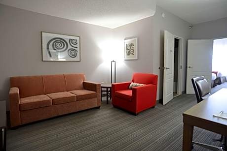 1 King Bed, Suite, Nonsmoking