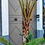 Luxury B&B Iolanda