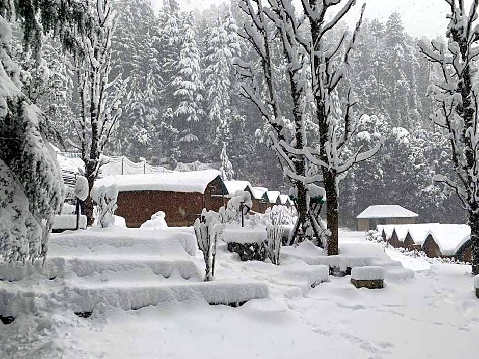 Mashobra Greens Shimla