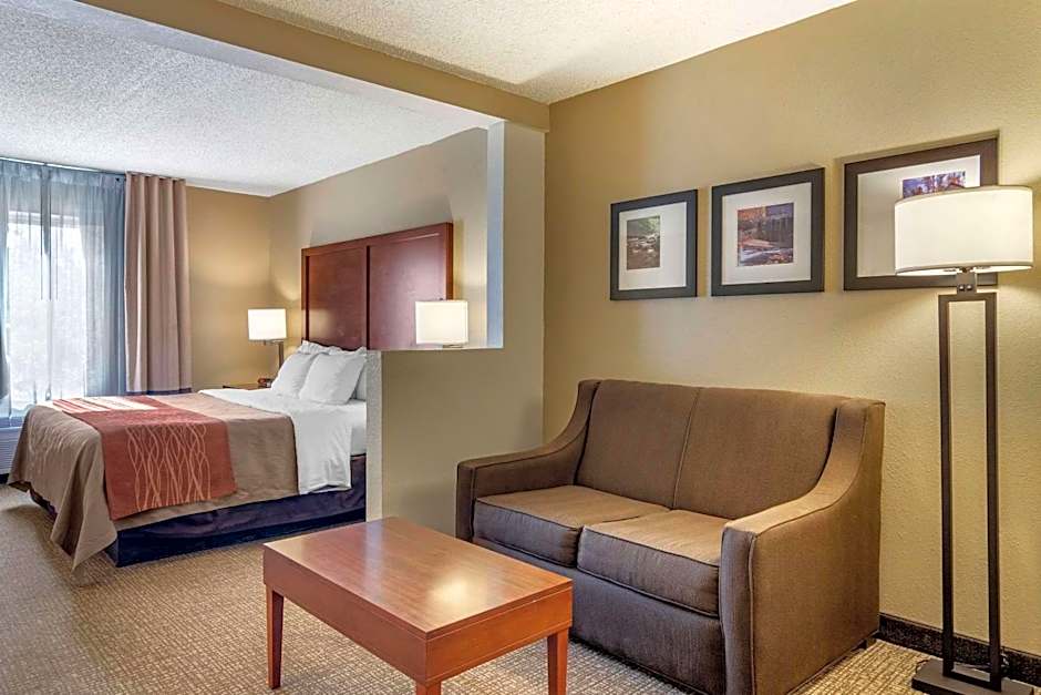 Comfort Inn & Suites Suwanee - Sugarloaf