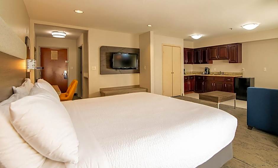 Holiday Inn Express Hotel & Suites College Station By IHG