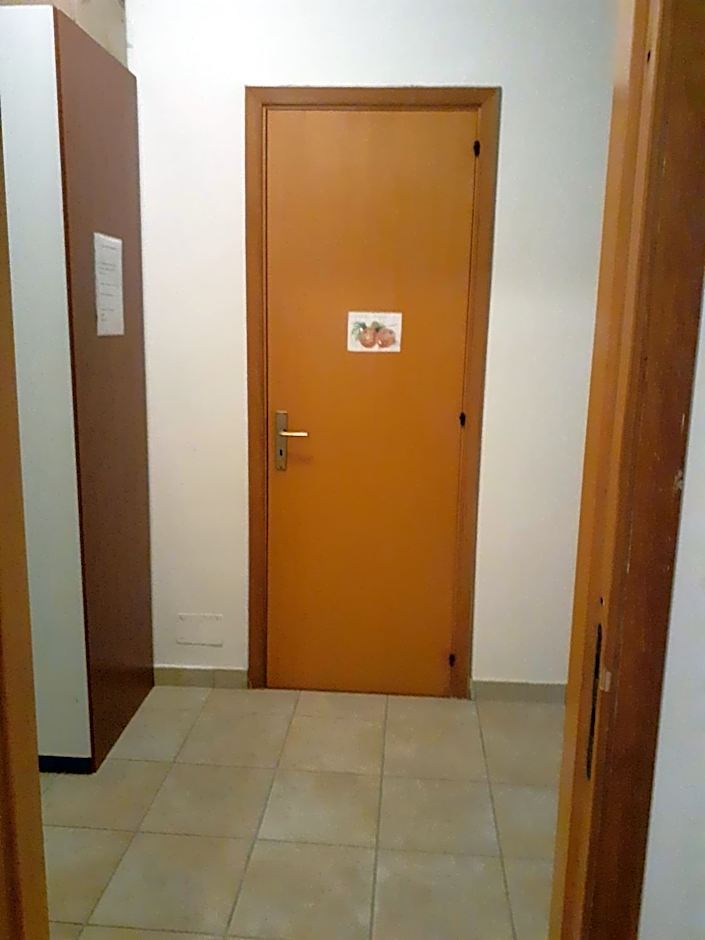 L'Ulivo di Lu