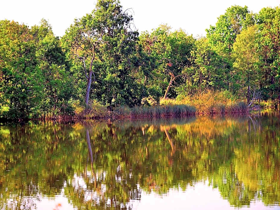 Nationalparkhotel Kranichrast
