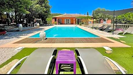 Les Lézards 2 au Soleil Draguignan