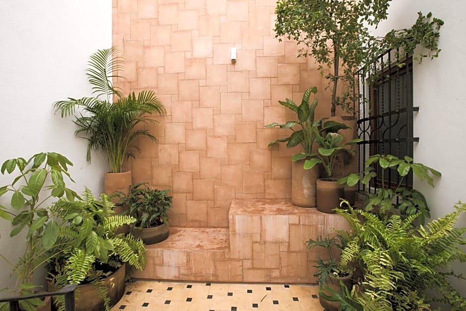 Casa Montore by Barrio Mexico