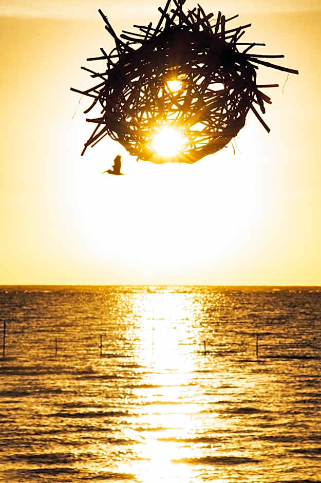 Hotel Luna De Plata Mahahual