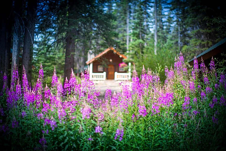 Storm Mountain Lodge & Cabins